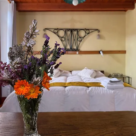 Bed and breakfast Muggianeddu Tonara